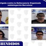 plantillas-cicpc